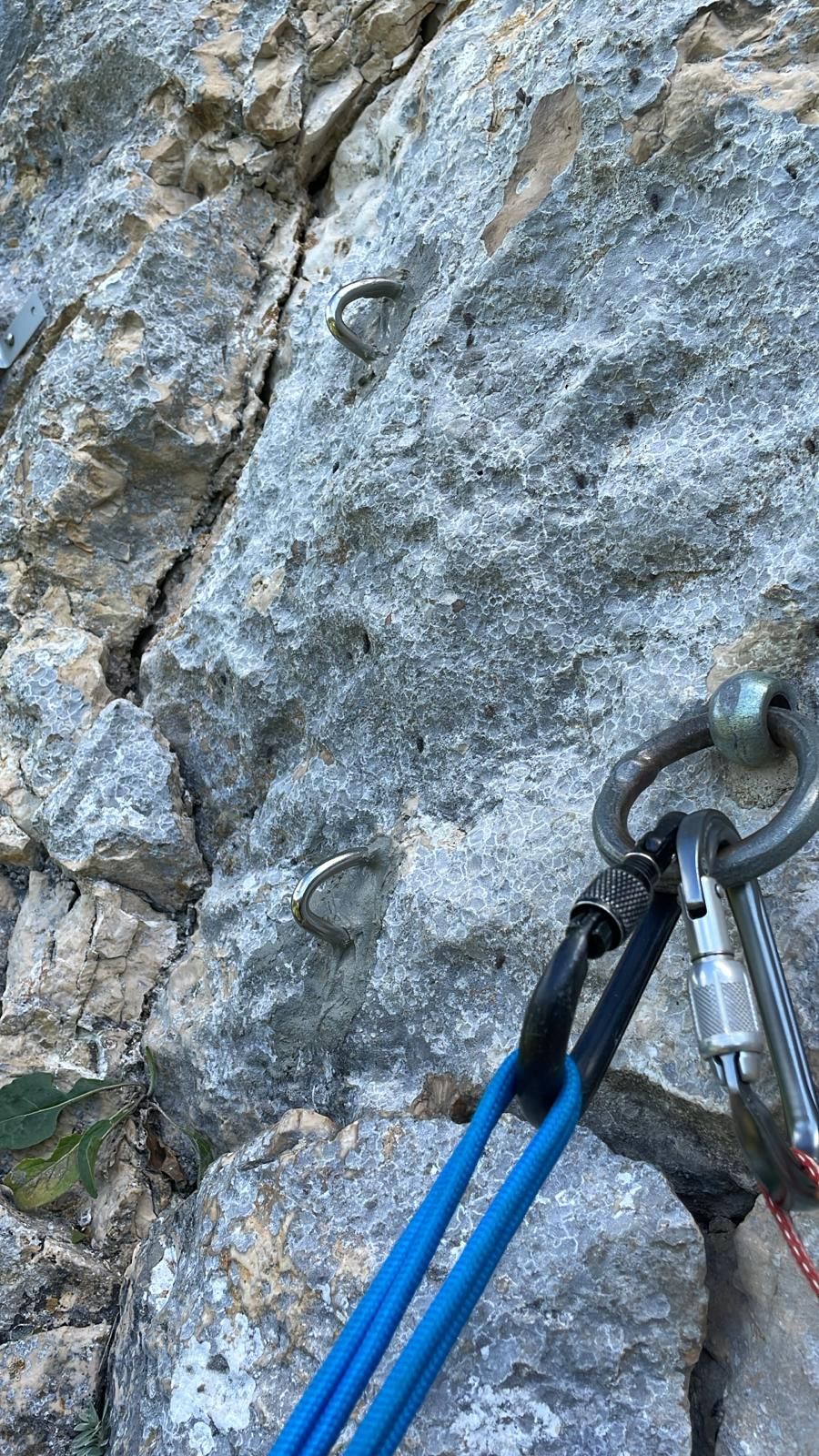 NeuerStand